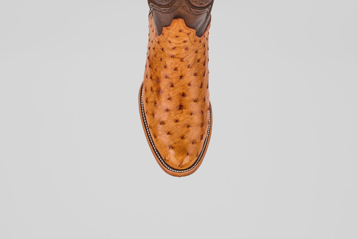 The Austin - Brandy - Roper Toe is a single tan and brown ostrich leather cowboy boot with a textured, spotted pattern, shown from above on a plain white background.
