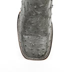 Austin Ostrich Boots - Gray - Square Toe (AV20) - Gomez Western Wear