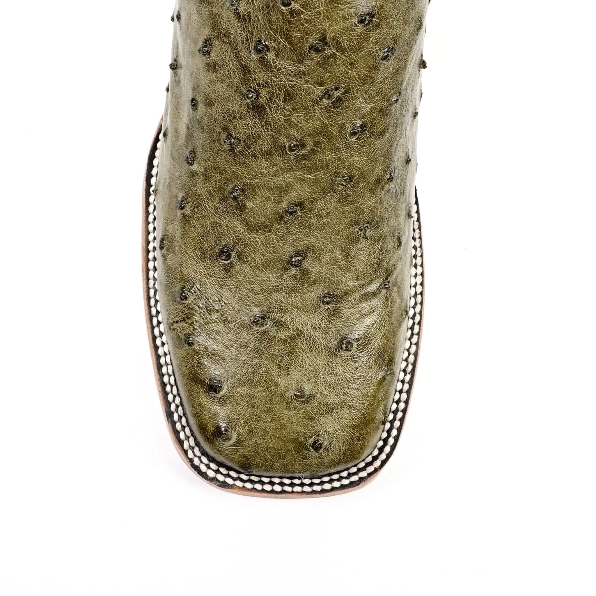 Austin Ostrich Boots - Agave - Square Toe (AV20) - Gomez Western Wear