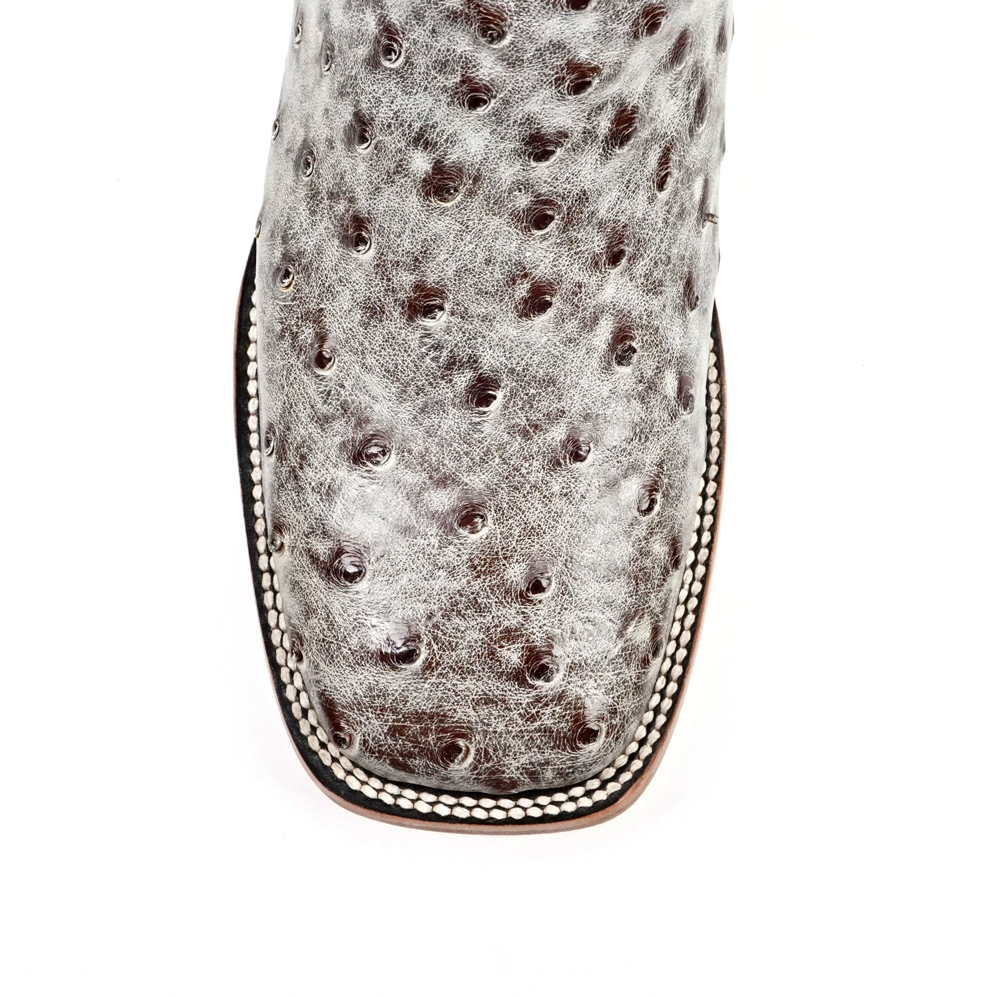 Austin Ostrich Boots - Nicotine - Square Toe (AV20) - Gomez Western Wear