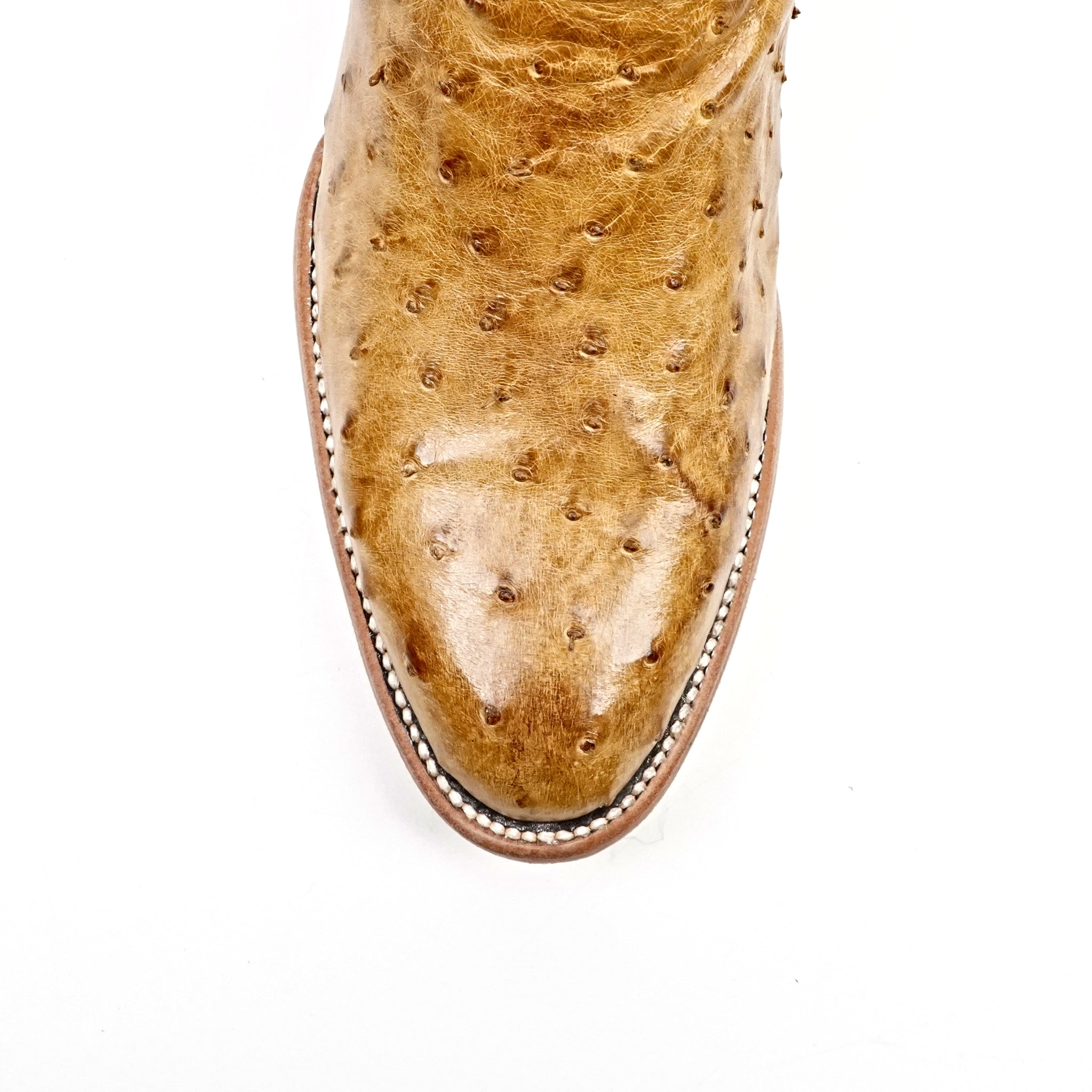 Austin Ostrich Boots - Antiguo - Punta Roper (AV201)