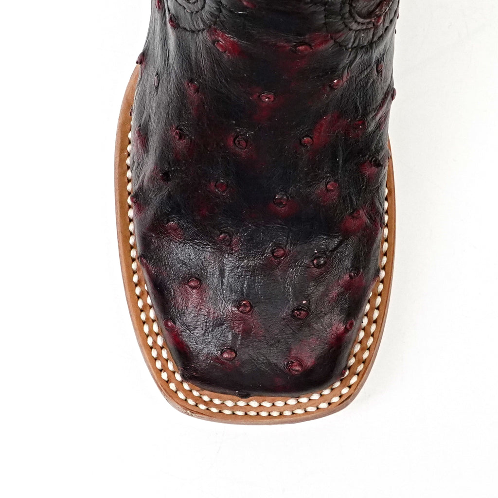 Avestruz Blackcherry / Old English Gris Oxford