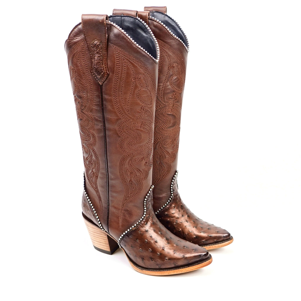 Paris Ostrich - Tall Shaft Bronze - J Toe