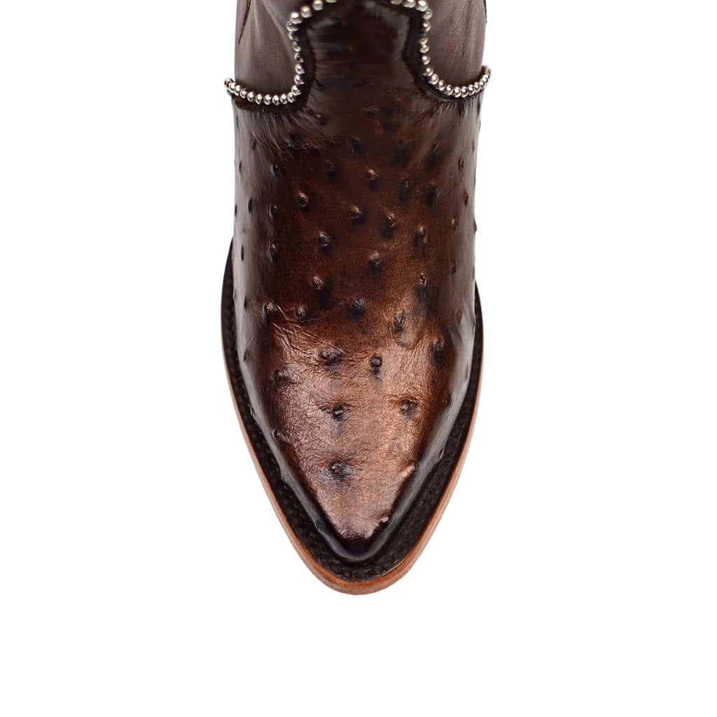Paris Ostrich - Tall Shaft Bronze - J Toe