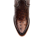 Paris Ostrich - Tall Shaft Bronze - J Toe