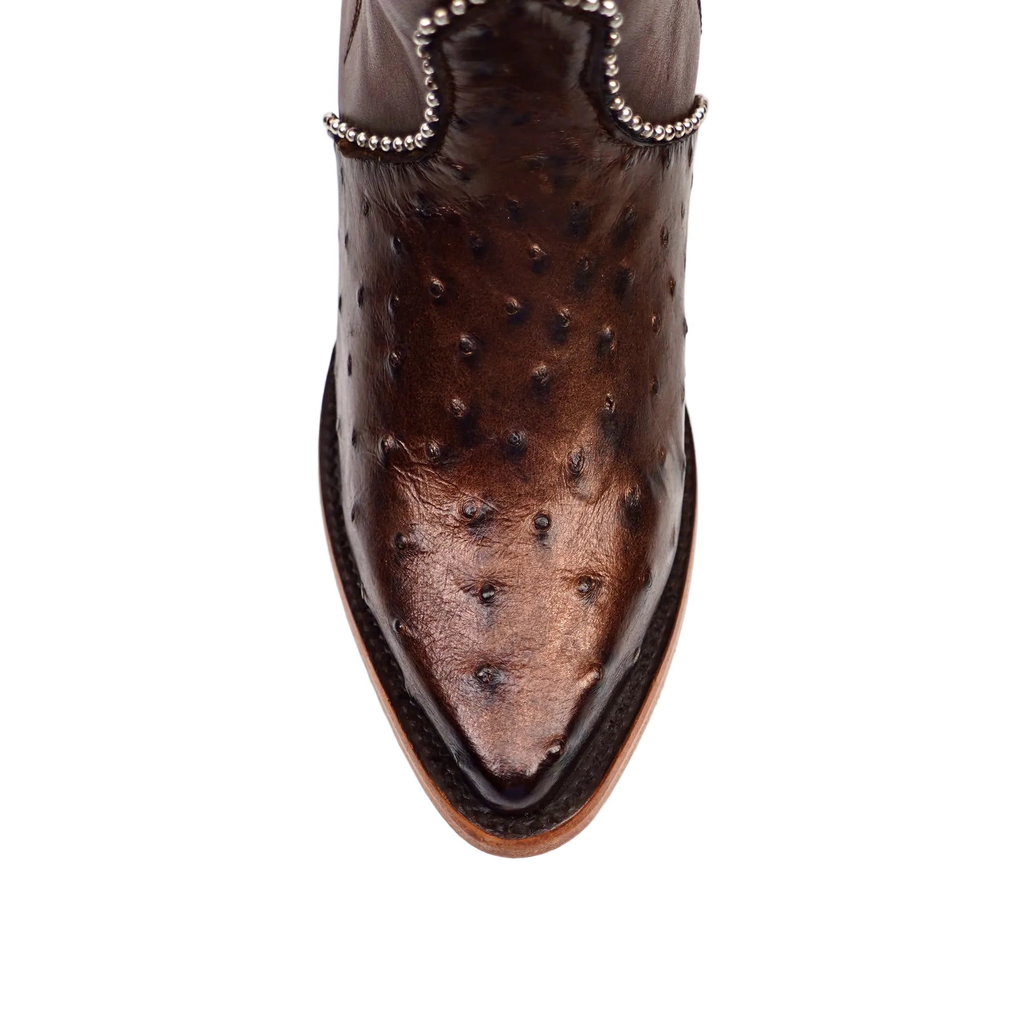 Paris Ostrich - Tall Shaft Bronze - J Toe