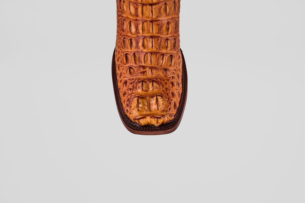 James - Cognac - Square Toe (Alligator  Head)