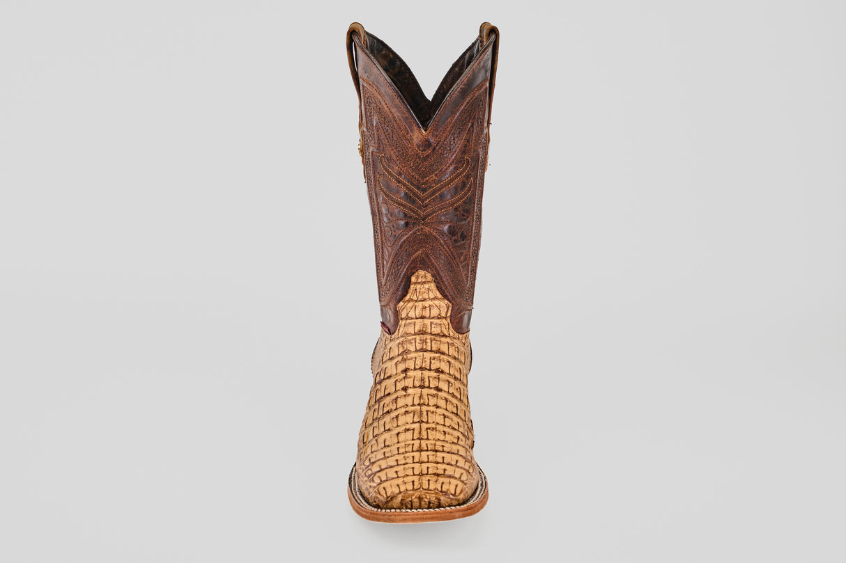 The Exotic Caiman Horn Back - Antique - Square Toe boot features a textured light tan lower and a dark brown, ornately stitched upper section, displayed front-facing on a plain light gray background.