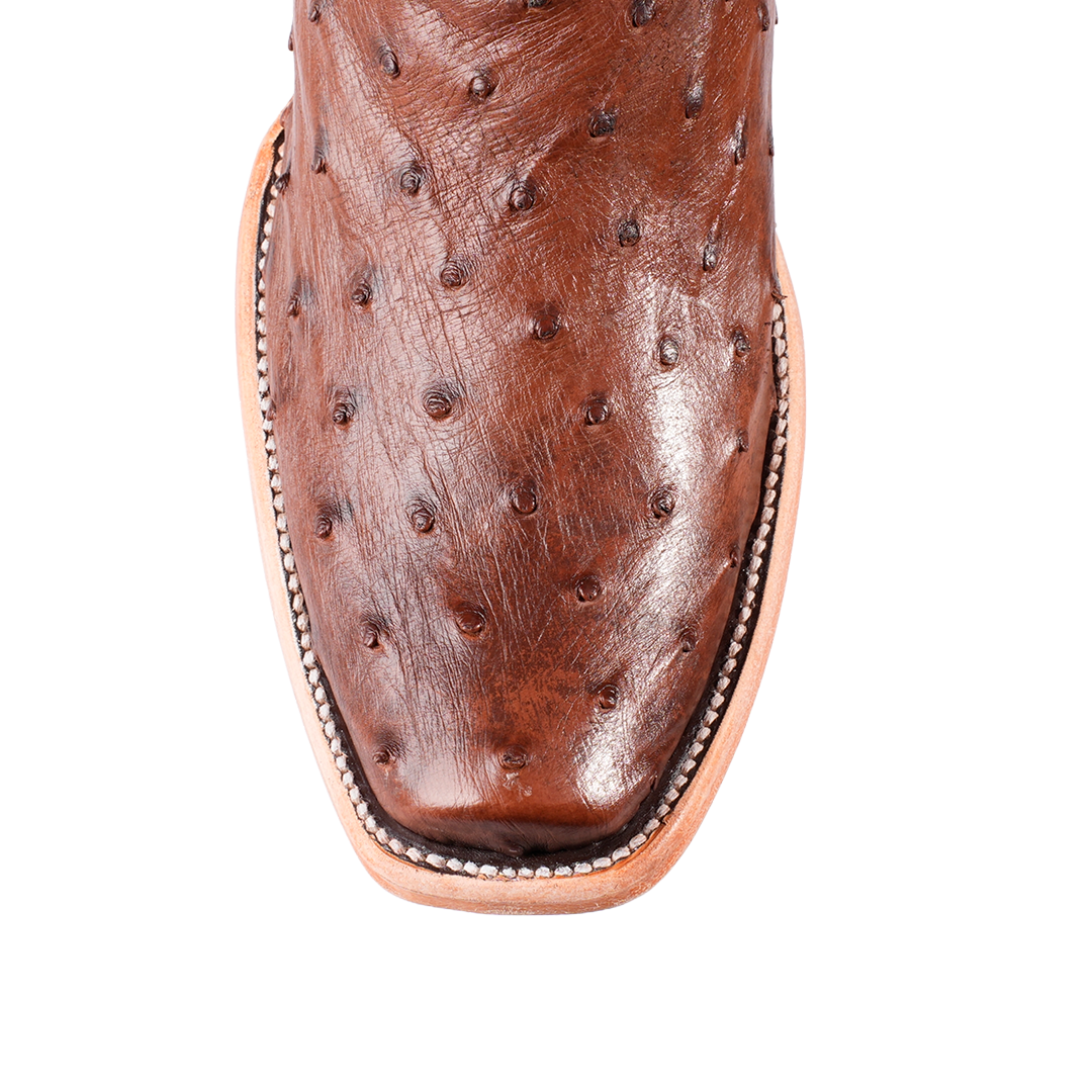 cowboy boot-
cowboy boots-
boots for cowboy-
cavender stores ltd-
boot cowboy boots-
wrangler-
cowboy and western boots-
ariat boots-
caps-
