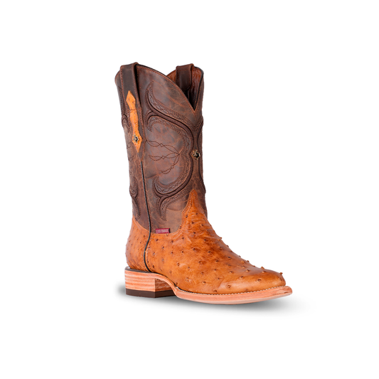 store close to me-
boot barn-
boot barn booties-
boots boot barn-
buckles-
ariat-
boot-
cavender's boot city-
cavender-
cowboy with boots-
cavender's-
wranglers-
