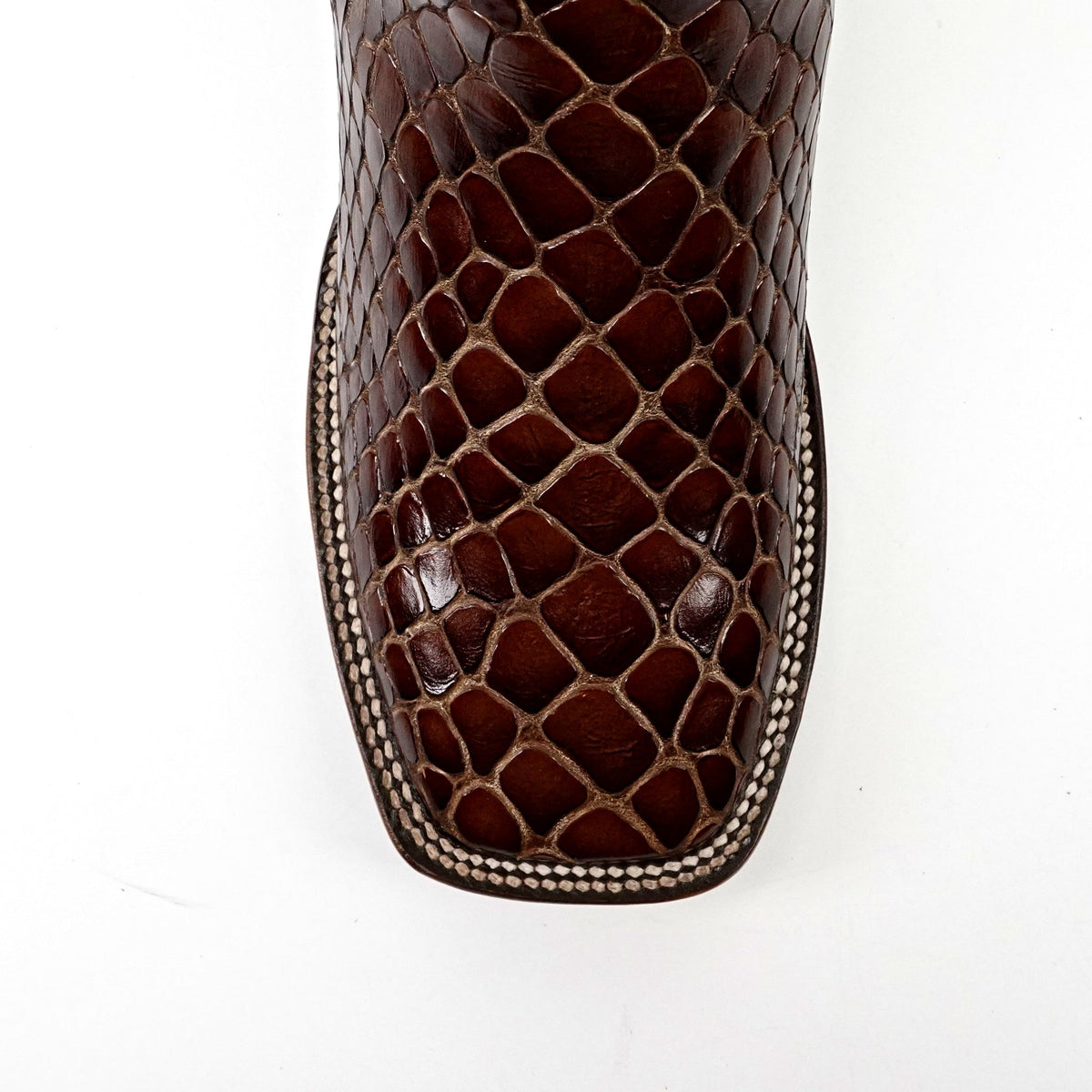 Cognac Snake Ankle Boots - Embossed Leather - Square Toe (E955) - Gomez Western Wear