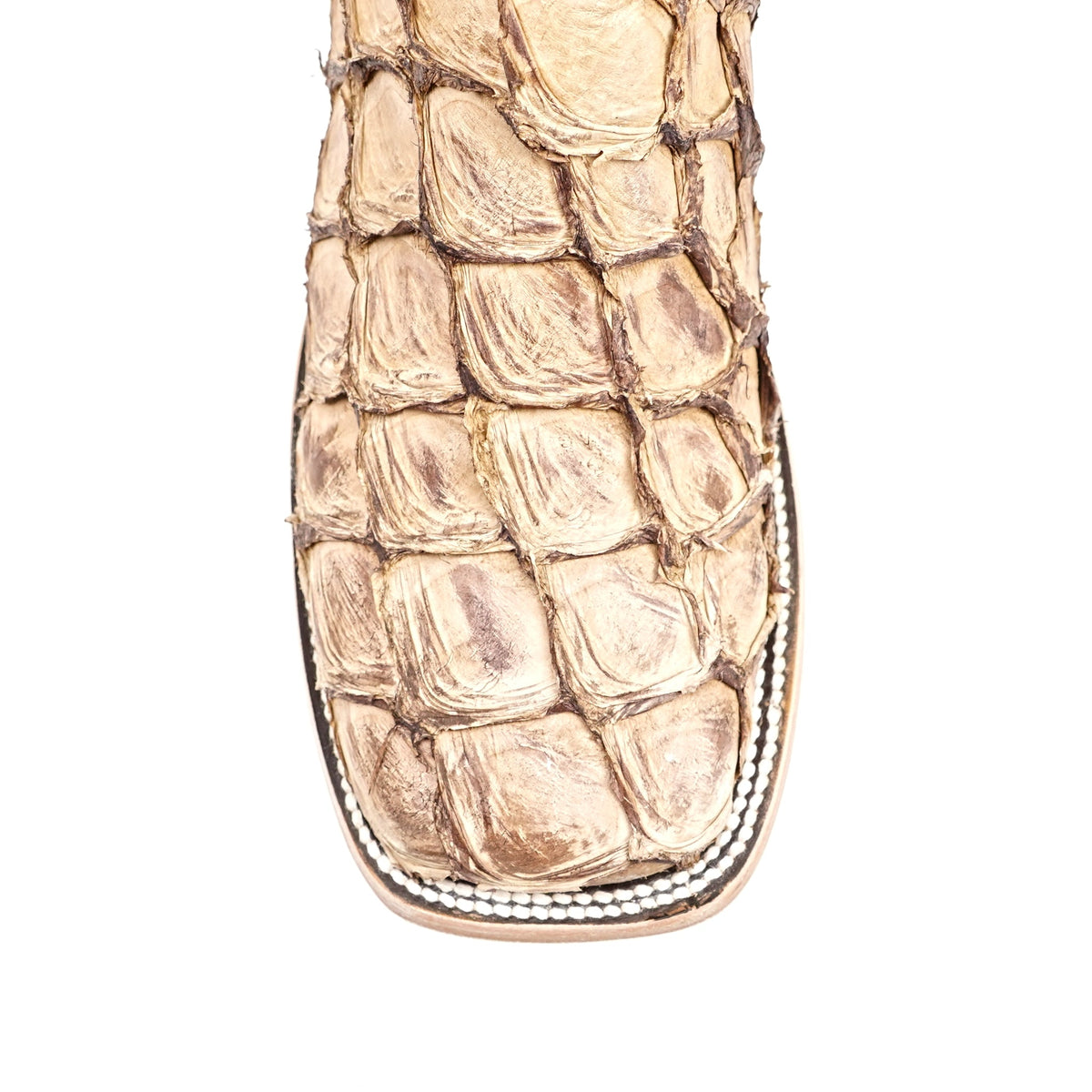 Connor Pirarucu Fish Boots - Sand - Square Toe (PZ60) - Gomez Western Wear
