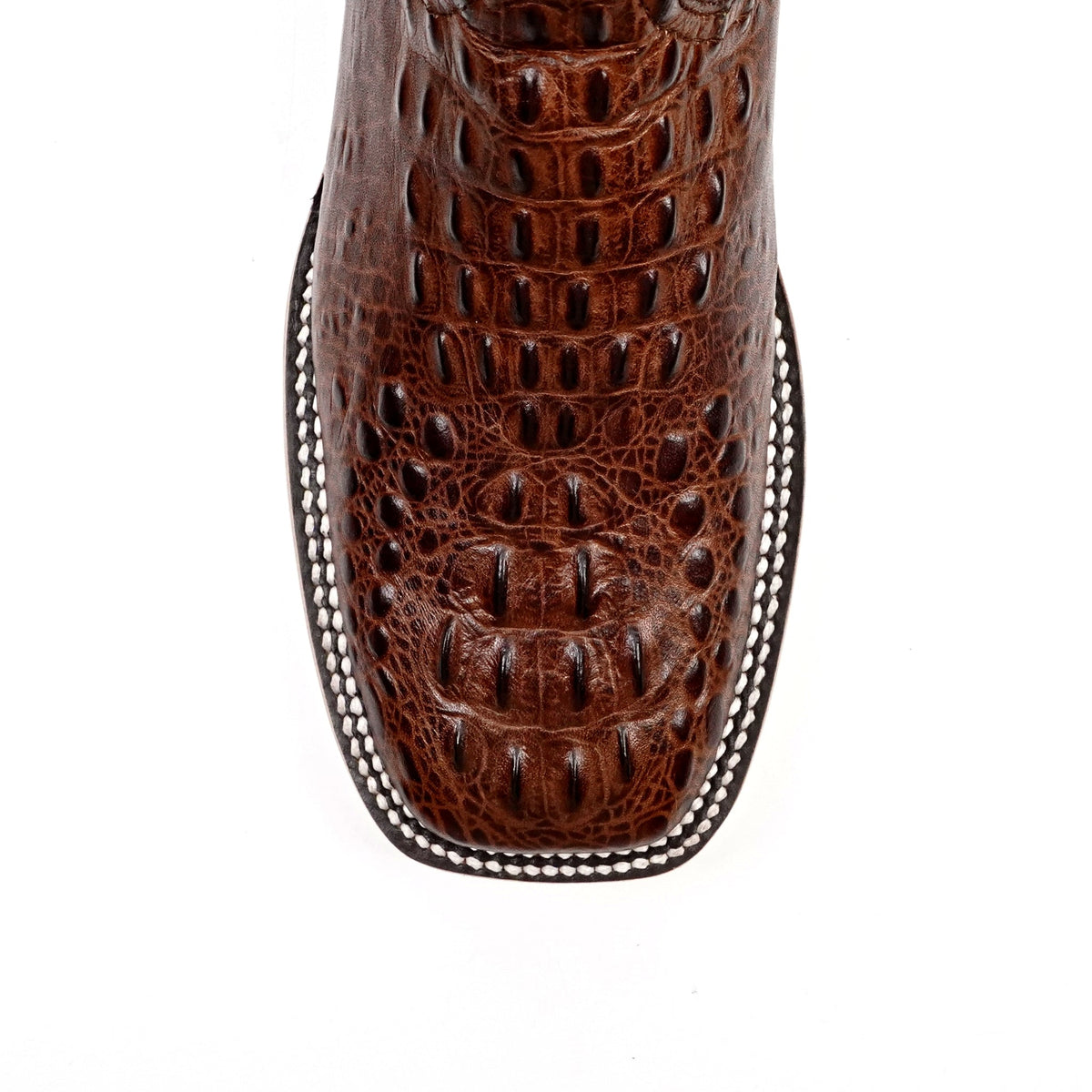 Crocodile Head Choco Boots - Embossed Leather - Square Toe (E427) - Gomez Western Wear
