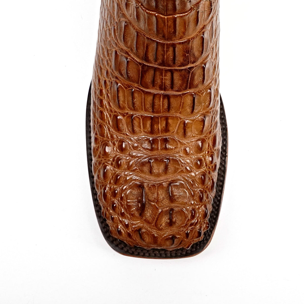 James Alligator Head Boots - Brandy - Square Toe (AP50) - Gomez Western Wear
