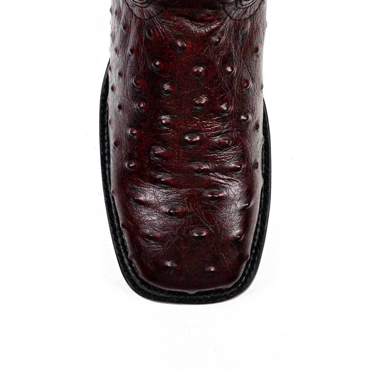 Ostrich Black Cherry Boots - Embossed Leather - Square Toe (E424) - Gomez Western Wear