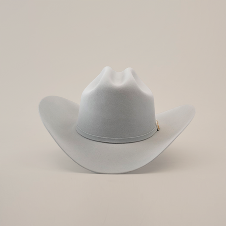 A light gray, wide-brimmed 6X Real Platinum cowboy hat featuring a curved crown and a subtle decorative band, set against a plain white background.